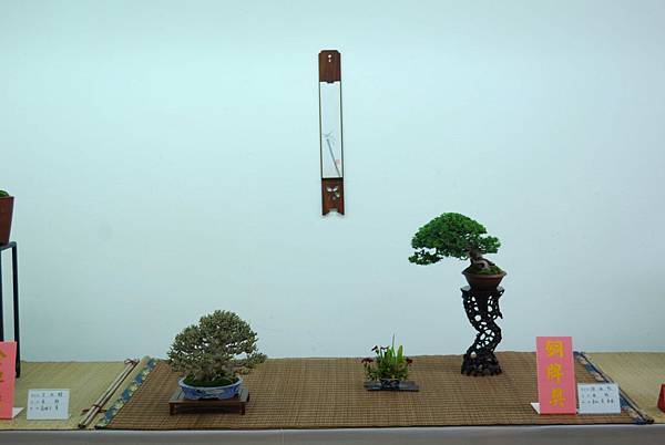 DSC_7921.jpg DSC_7921.jpg