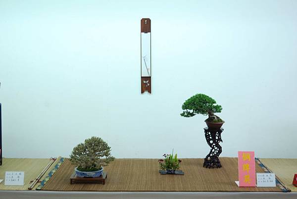 DSC_7922.jpg DSC_7922.jpg