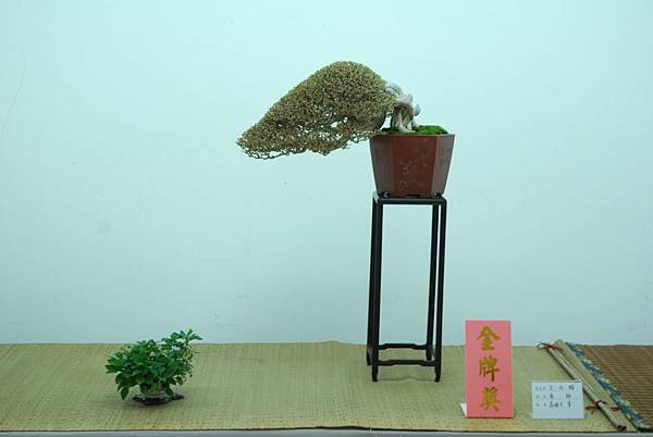 DSC_7927.jpg DSC_7927.jpg