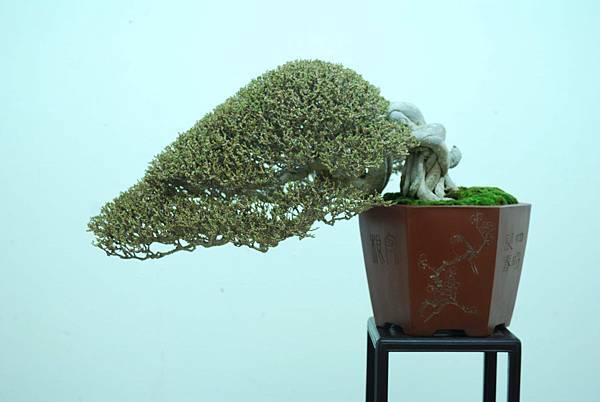 DSC_7930.jpg DSC_7930.jpg