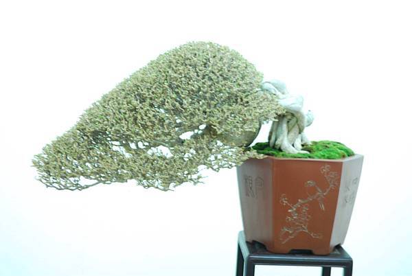 DSC_7928.jpg DSC_7928.jpg