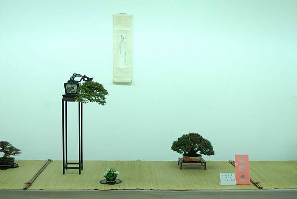 DSC_7937.jpg DSC_7937.jpg