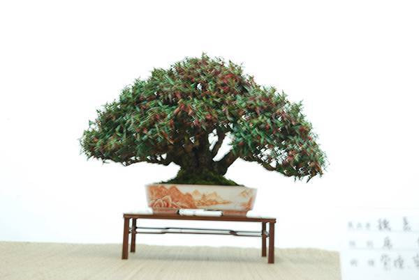 DSC_7942.jpg DSC_7942.jpg