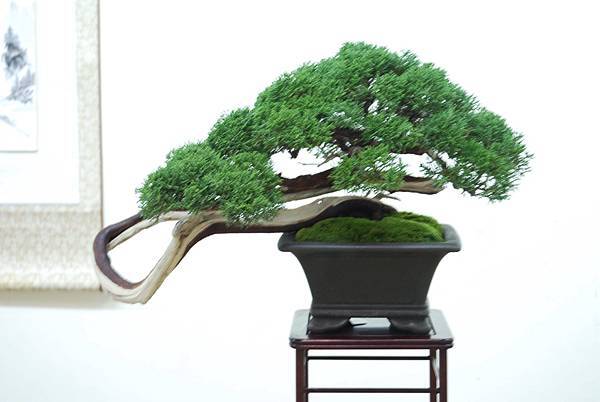 DSC_7946.jpg DSC_7946.jpg