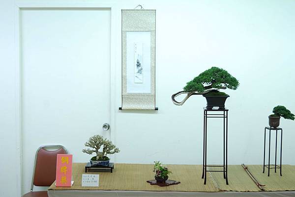 DSC_7944.jpg DSC_7944.jpg