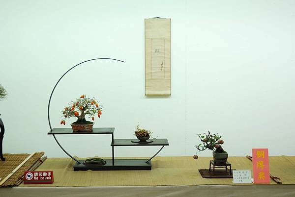 DSC_7952.jpg DSC_7952.jpg