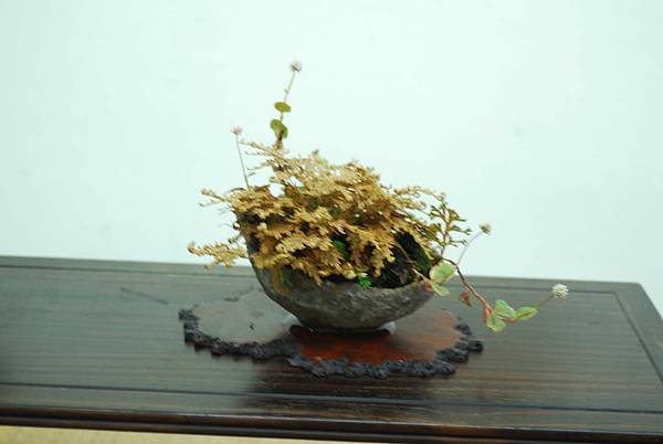 DSC_7956.jpg DSC_7956.jpg