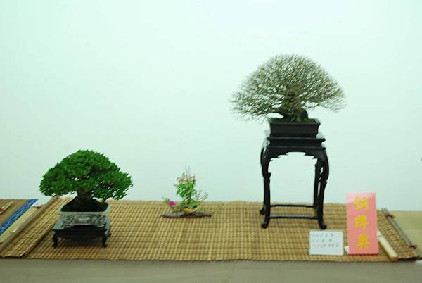 DSC_7958.jpg DSC_7958.jpg