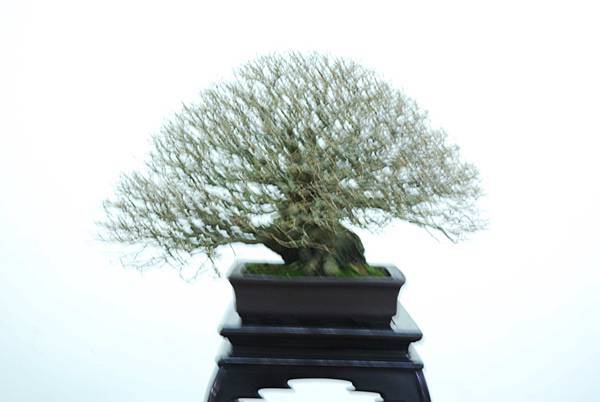 DSC_7961.jpg DSC_7961.jpg