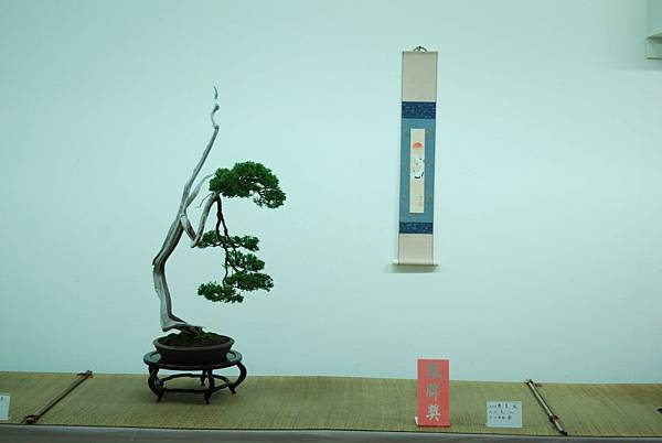 DSC_7967.jpg DSC_7967.jpg