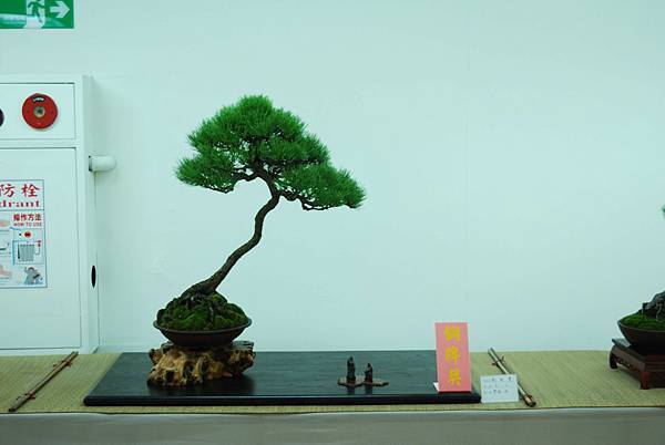 DSC_7969.jpg DSC_7969.jpg