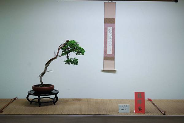 DSC_7972.jpg DSC_7972.jpg