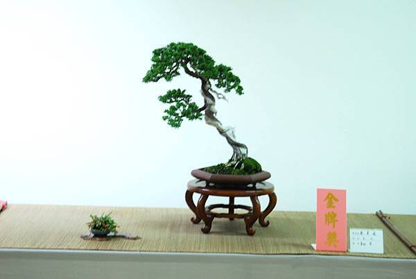 DSC_7971.jpg DSC_7971.jpg