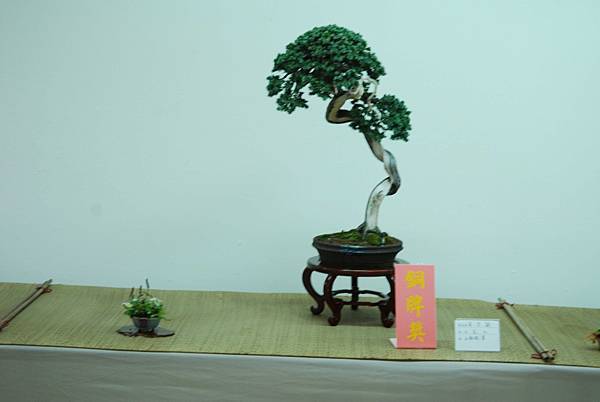 DSC_7970.jpg DSC_7970.jpg