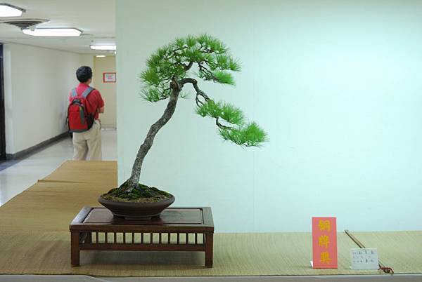 DSC_7973.jpg DSC_7973.jpg