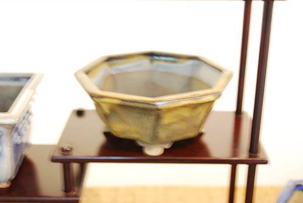 DSC_7979.jpg DSC_7979.jpg