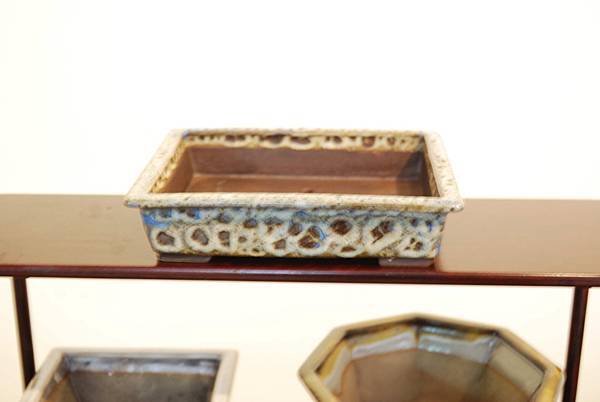 DSC_7977.jpg DSC_7977.jpg