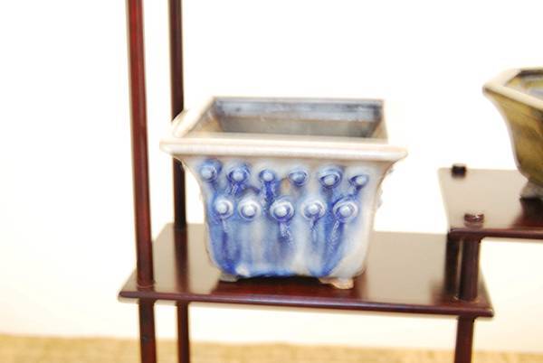 DSC_7978.jpg DSC_7978.jpg