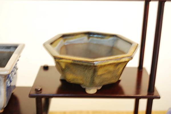 DSC_7980.jpg DSC_7980.jpg