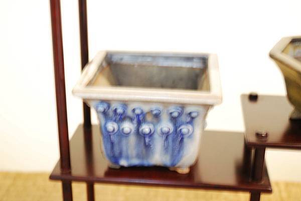 DSC_7981.jpg DSC_7981.jpg