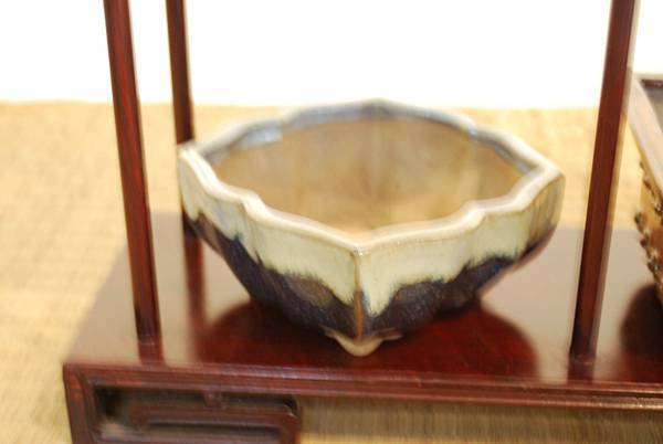 DSC_7982.jpg DSC_7982.jpg