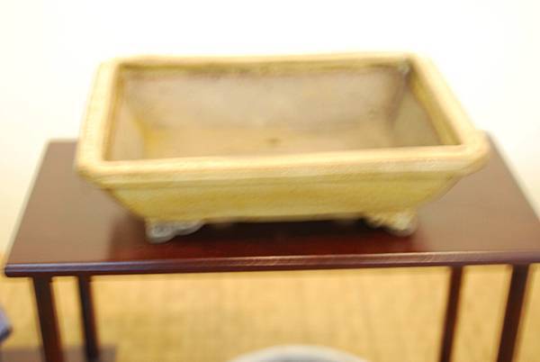 DSC_7985.jpg DSC_7985.jpg