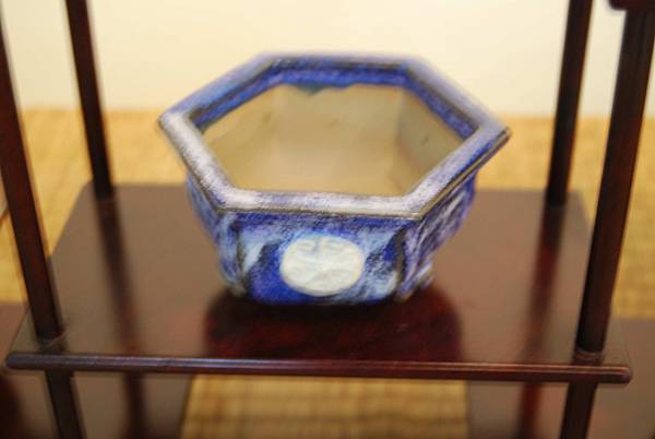 DSC_7984.jpg DSC_7984.jpg