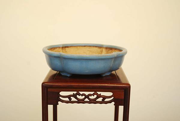 DSC_7988.jpg DSC_7988.jpg