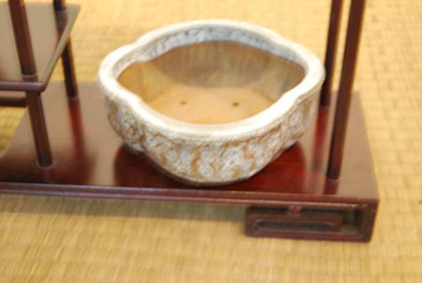 DSC_7986.jpg DSC_7986.jpg