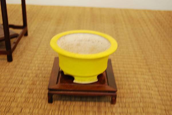 DSC_7989.jpg DSC_7989.jpg