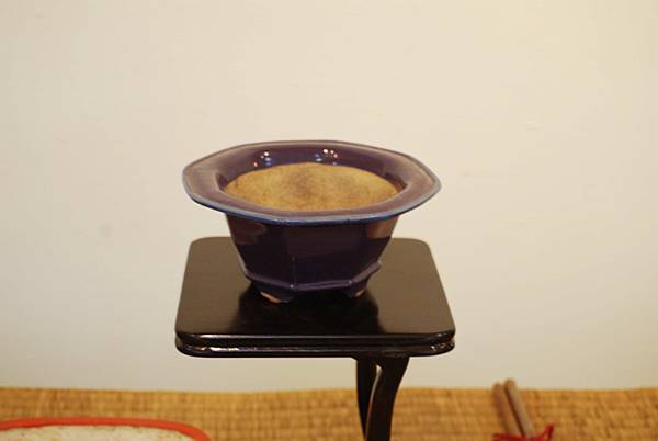 DSC_7992.jpg DSC_7992.jpg