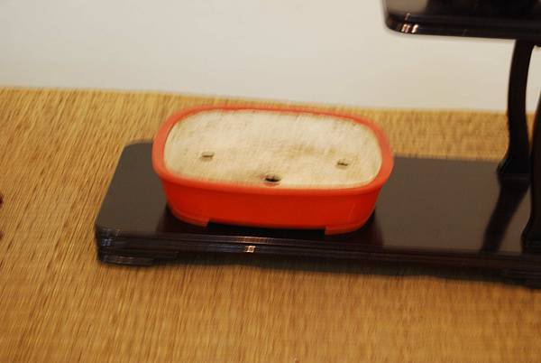 DSC_7991.jpg DSC_7991.jpg