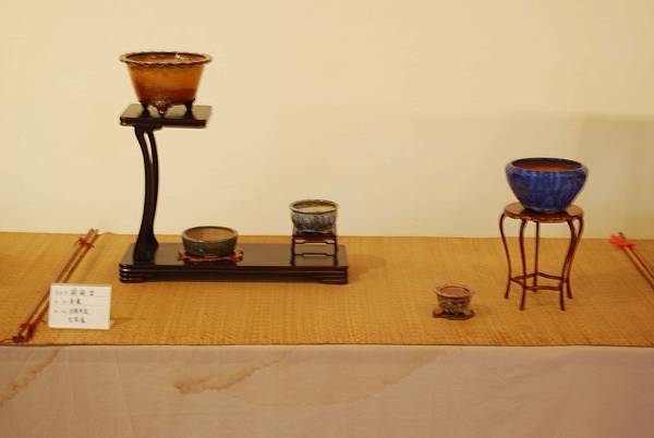 DSC_7999.jpg DSC_7999.jpg