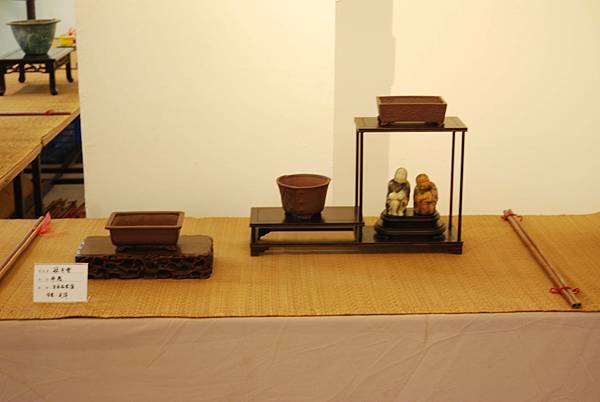 DSC_7997.jpg DSC_7997.jpg