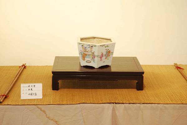 DSC_7998.jpg DSC_7998.jpg