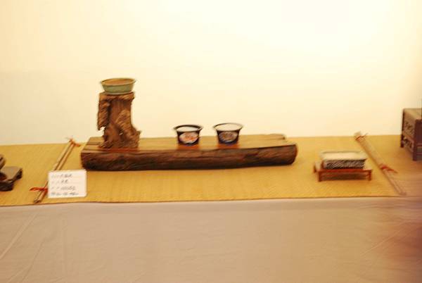 DSC_8002.jpg DSC_8002.jpg