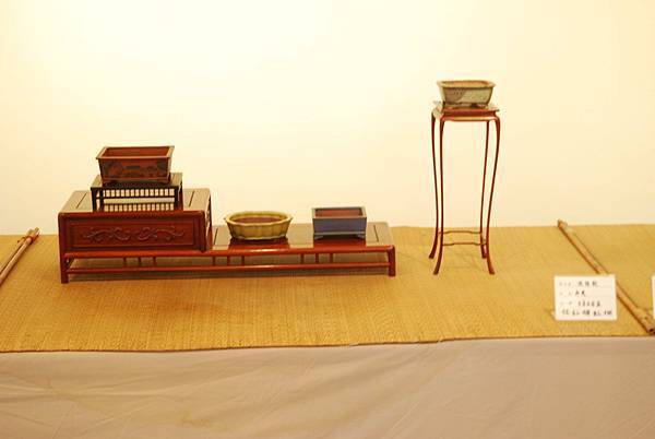 DSC_8004.jpg DSC_8004.jpg