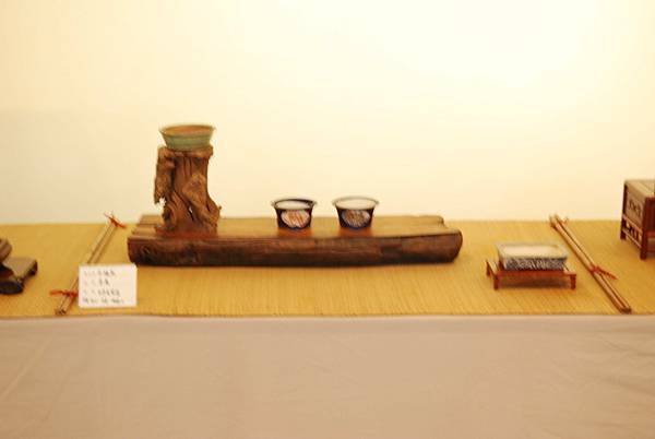 DSC_8003.jpg DSC_8003.jpg