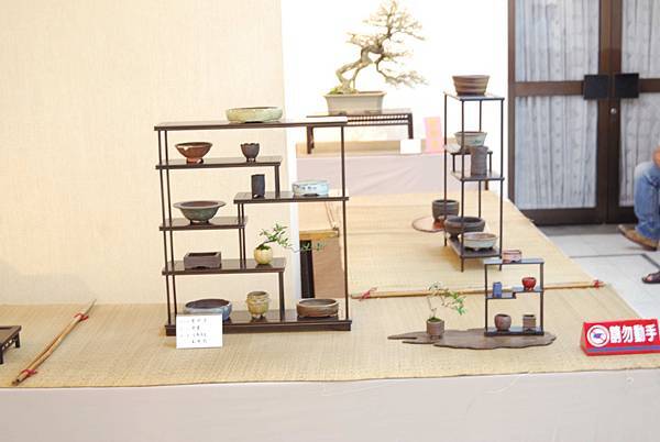 DSC_8008.jpg DSC_8008.jpg