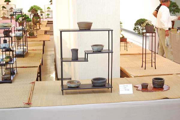 DSC_8009.jpg DSC_8009.jpg