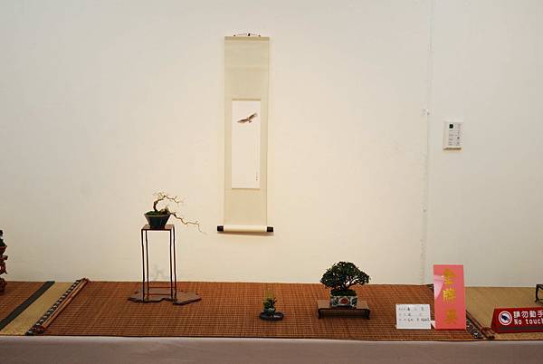 DSC_8012.jpg DSC_8012.jpg