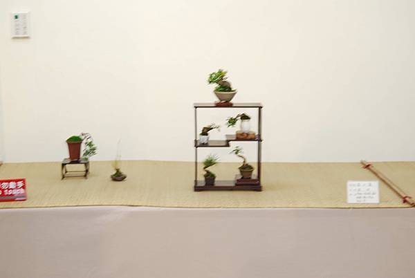 DSC_8013.jpg DSC_8013.jpg