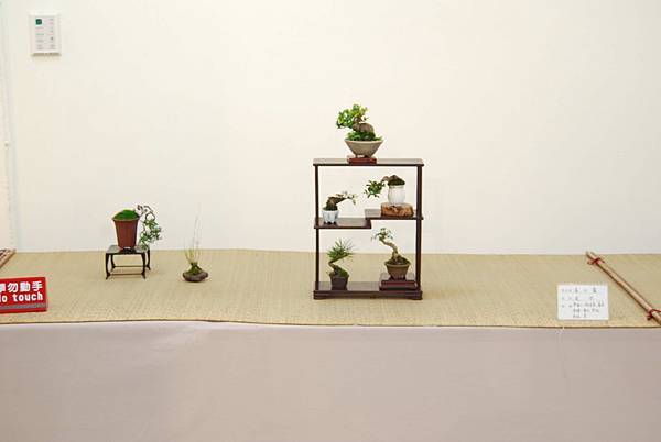 DSC_8014.jpg DSC_8014.jpg