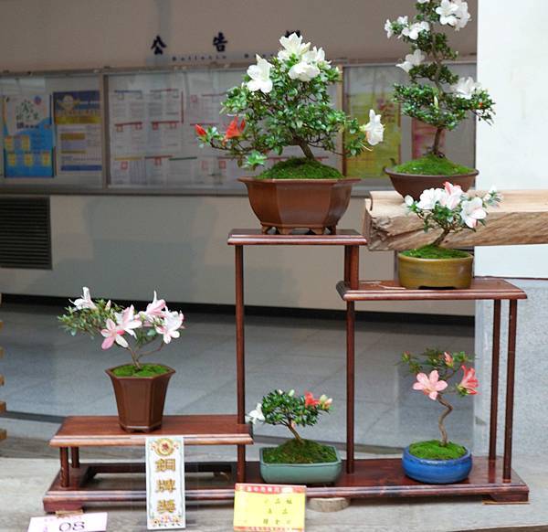 DSC_8187.jpg DSC_8187.jpg