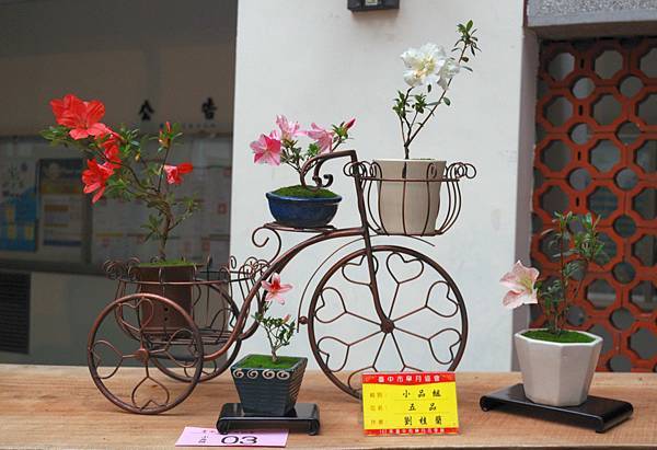 DSC_8186.jpg DSC_8186.jpg