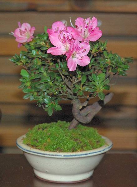 DSC_8199.jpg DSC_8199.jpg