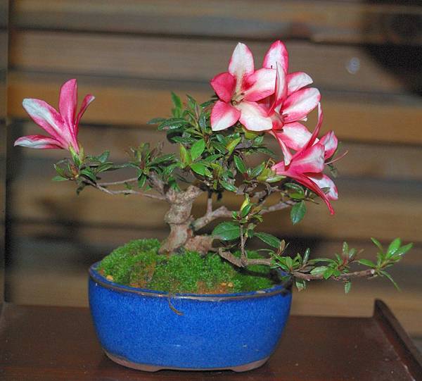 DSC_8200.jpg DSC_8200.jpg