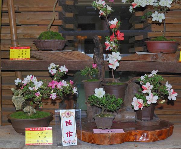 DSC_8204.jpg DSC_8204.jpg