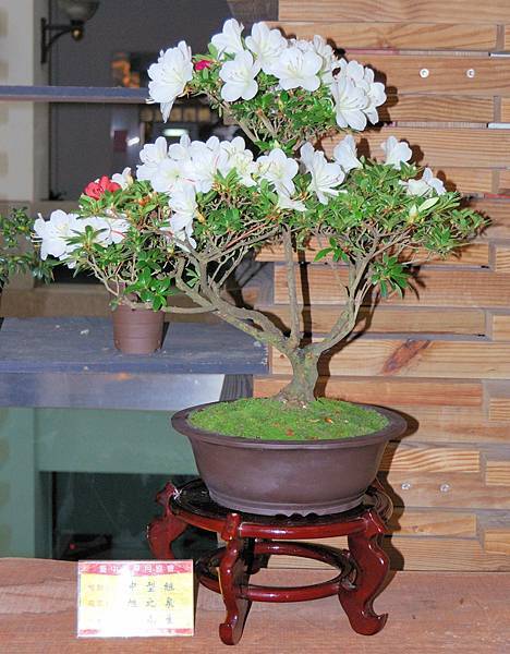 DSC_8208.jpg DSC_8208.jpg