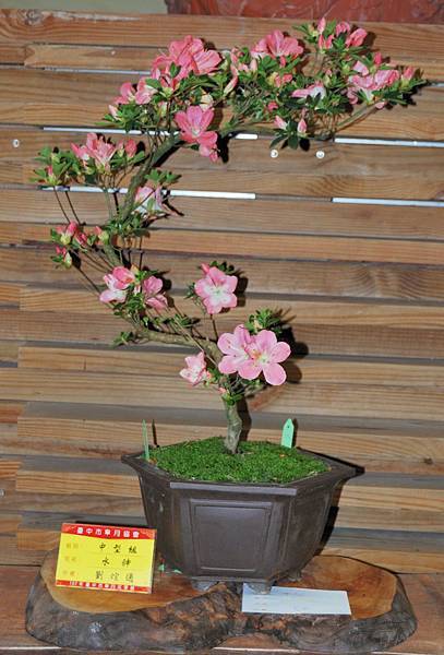 DSC_8207.jpg DSC_8207.jpg